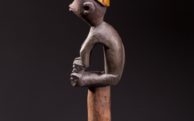 Orsuala (staff) with capuchin monkey.